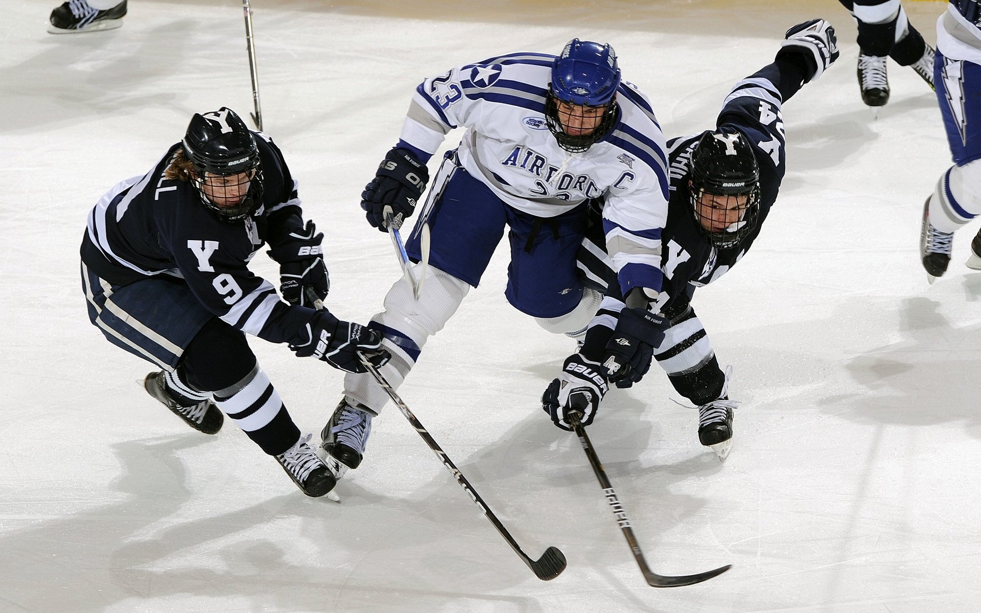中国攀岩队亚锦赛创佳绩 新生代选手闪耀国际赛场
